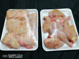 Halaal Chicken Supplier in Kwazulu Natal