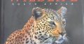 Wildlife South Africa | Art Publishers | Hardcover