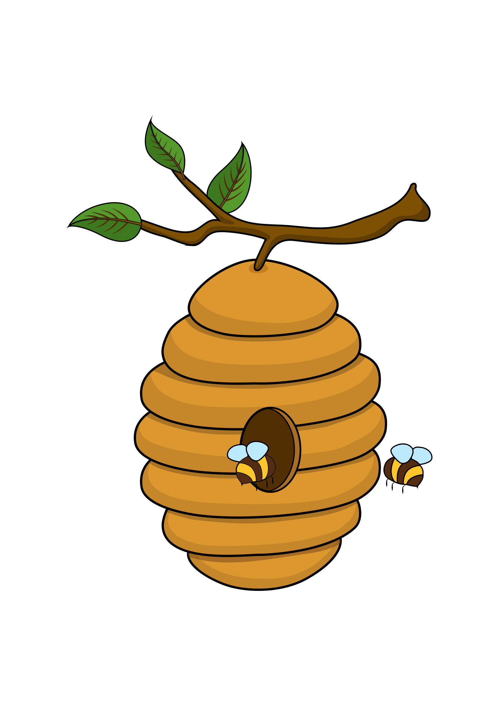 Bee Keeper in Ladysmith