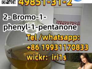 cas 49851-31-2 manufacturer 2-Bromovalerophenone CAS 49851-31-2 2-BROMO-1-PHENYL