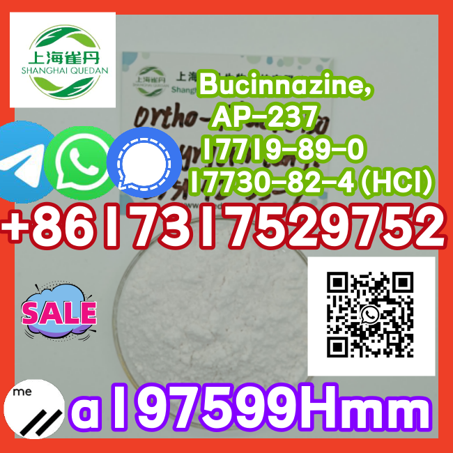 VW Amarok Leaf Spring Suspension Upgrade Inland Finder