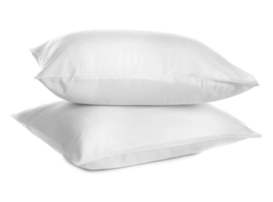 Standard Twin Pack Pillows