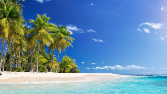 Thinadhoo Island Tour Package – BeachLife Tours