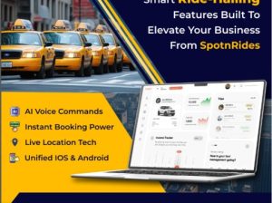 Will Your Taxi Business Stay Competitive in 2025?
