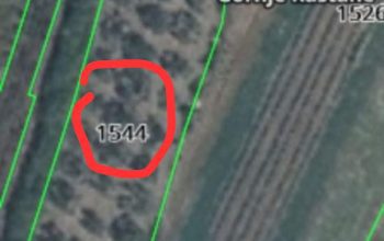 Beautiful 1,557 m² olive grove in an attractive location in Raštane, Croatia