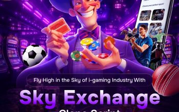 Own Your Sports Betting Empire With Sky Exchange Clone Script