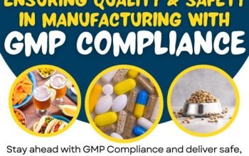GMP Certification in Phoenix