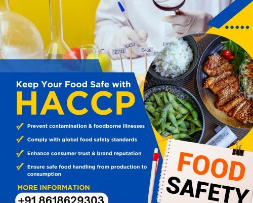 HACCP Certification in Tampa