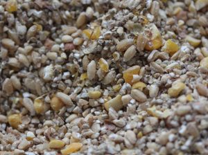 Bulk Poultry Feed Supplier – Starter, Grower, Finisher & Layer Feed