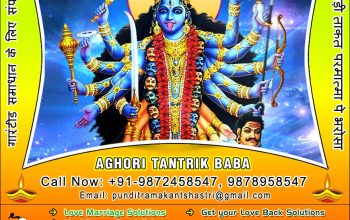 Indian Vashikaran Specialist