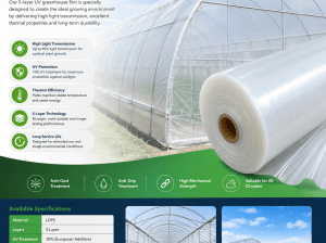 5-Layer UV Greenhouse Covering Film