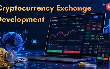 How Can You Customize a Cryptocurrency Exchange Platform?
