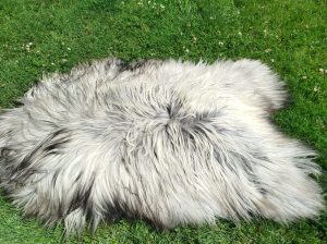 Heidschnucke Sheepskins, High Quality