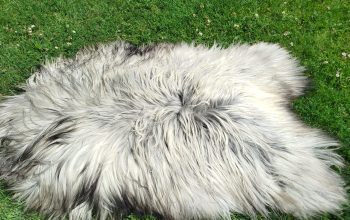 Heidschnucke Sheepskins, High Quality