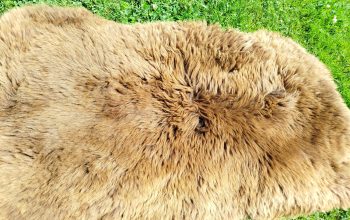 Dutch Sheepskins, Premium