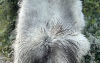 Melerade Sheepskins, High Quality