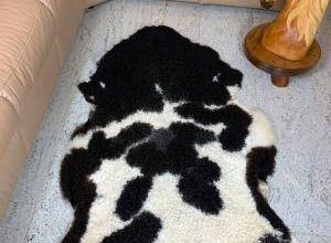Natural Polish Sheepskins, Premium