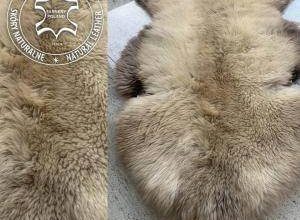 Collection of Meliert Sheepskins, Highest Quality