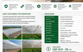 Complete Spanish-Type Greenhouse Structure with Covering & Installation