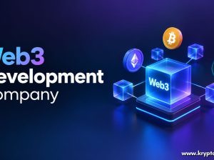 Build Decentralized Business Platforms With Custom Web3 Development