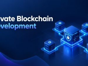 How Does Private Blockchain Development Support Business Growth?