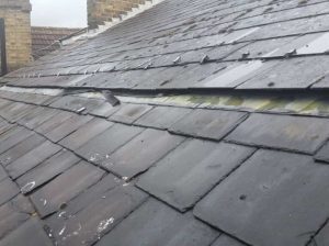 Metal Roof Cleaning Services Near Me